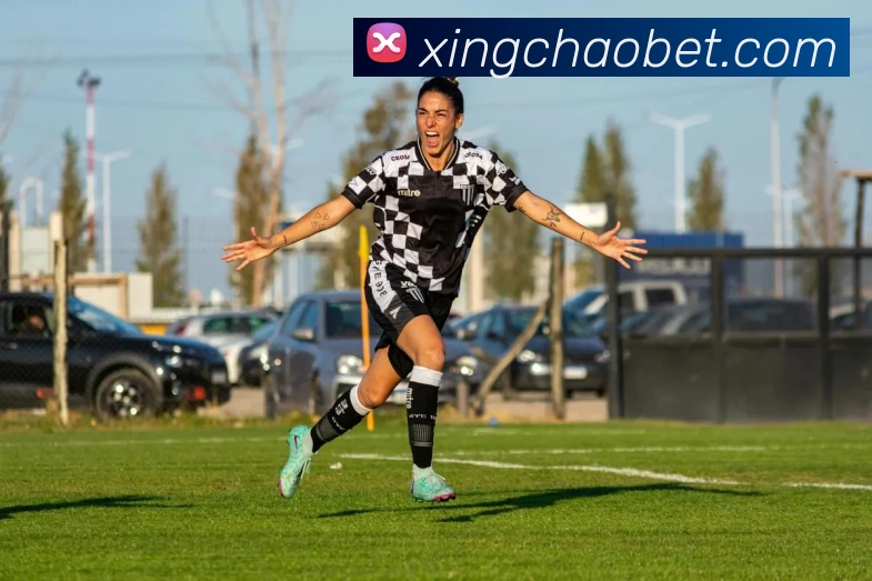 星朝娱乐城官网发展历程